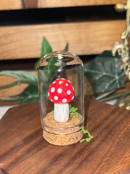 Ceramic Mushroom in a Glass Dome