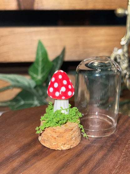 Ceramic Mushroom in a Glass Dome