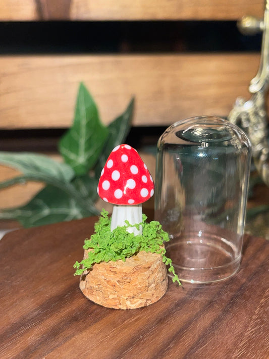 Ceramic Mushroom in a Glass Dome