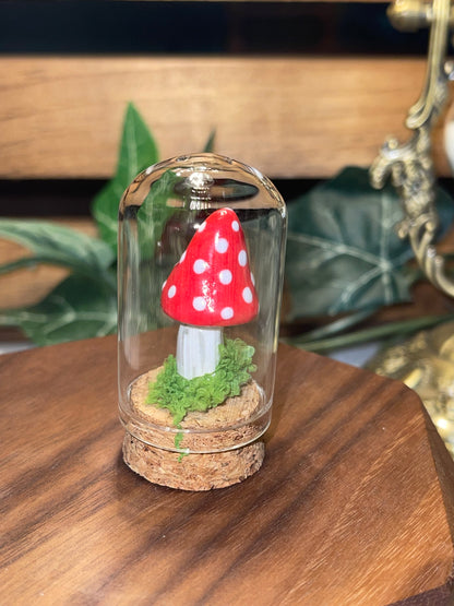 Ceramic Mushroom in a Glass Dome