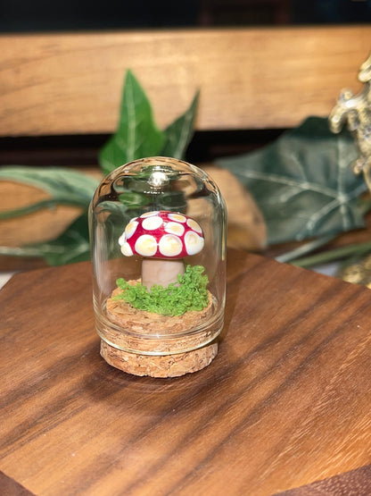 Glass Mushroom in a Glass Dome